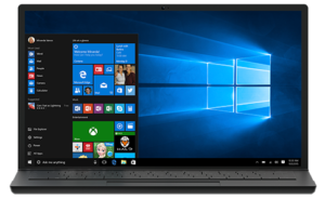 Windows 10 Pro ISO Image 1